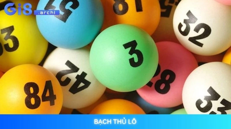 Bạch thủ lô